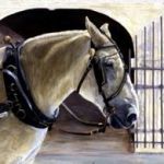 "Charleston horse Number Two," 24 x 38" oil on canvas. SOLD.
Although the poster project for Charleston was canceled I received a phone call for and plants that the famous interior designer from Atlanta Georgia she was in charge of the Rittenhouse which was a Southern living home at Clemson University and she wanted to display my Charleston buggy horse in the home the patron who it bought it felt like he could live without it for the period of time it would be on display so she asked about consider painting a second one and since it originally been scheduled to be a series that was not a problem. The second horse sold also. The publicity exposure from being one the artists in the Wren House, I had six pieces in there, was of course helpful.