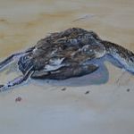 27" x 17" watercolor and Gouache.