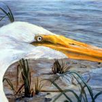 "Egret Head," 9" x 16" acrylic on paper. Sold.
This Egret follow me around one year and allowed me to do sketches and photographs that a closeness that's not normally available with wildlife he gets so comfortable he would walk up and eat things that were practically touching my feet. That kind of closeness with a wild animal is rare and usually accomplished with a great deal of stillness on the part of the human.