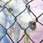 Goat, from fences and cages series,
Oil on stretched linen 20"w x16"h